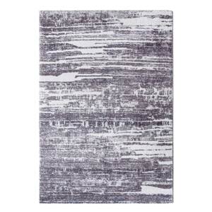 Kusový koberec Toscana 49/LWL 200x290 cm